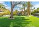 Expansive backyard with a trampoline, lush green lawn, and tropical landscaping, perfect for outdoor activities at 1108 Pine Island Ct, Las Vegas, NV 89134