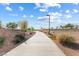 Scenic walking path through the community with lush landscaping and mature trees at 1174 King Lark St, Henderson, NV 89011