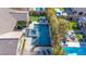 Aerial view of the backyard featuring a stunning pool, spa, and lush landscaping at 12169 Castilla Rain Ave, Las Vegas, NV 89138