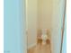 Well-lit powder room features modern toilet and sink at 3658 Auckland Castle St, Las Vegas, NV 89135