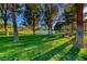 Scenic view of pond surrounded by mature trees and grass with a nearby bench on the walking path at 5 Via Ravenna Ct, Henderson, NV 89011