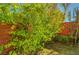 Backyard foliage with brick wall border at 5662 Escamilla Rd, Las Vegas, NV 89135
