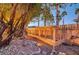 Backyard with desert landscaping featuring rocks, mature trees and a long coop at 8470 S Pioneer Way, Las Vegas, NV 89113