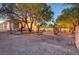 Backyard landscape with decorative lighting, desert plants, and mature trees creates a private and inviting outdoor space at 8470 S Pioneer Way, Las Vegas, NV 89113
