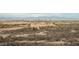 Expansive view showcasing the undeveloped landscape and skyline in the distance at 1141 Cactus Rock St, Henderson, NV 89011