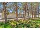 This home features mature trees with unique landscaping, providing privacy to the front of the house at 1911 Jarvis Rd, Pahrump, NV 89060