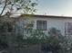 View of the side of a single-story home surrounded by overgrown vegetation at 203 W Pacific Ave, Henderson, NV 89015