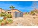 Backyard features a storage shed and desert landscaping with palm trees, shrubs, and greenery at 5527 Breecher Ave, Las Vegas, NV 89131