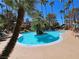 Beautiful pool with lush palm trees and lounge chairs perfect for relaxation and enjoyment at 3145 E Flamingo Rd # 2005, Las Vegas, NV 89121