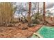 Backyard pool and spa with stone tile surround, mature trees, and tranquil landscape at 5050 Secret Rock St, Las Vegas, NV 89122