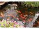 Beautiful koi pond featuring colorful fish, a decorative fountain, and lush greenery, creating a tranquil backyard oasis at 5050 Secret Rock St, Las Vegas, NV 89122