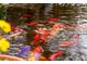 Serene koi pond showcasing a variety of colorful fish and aquatic plants, providing a relaxing and visually appealing feature at 5050 Secret Rock St, Las Vegas, NV 89122