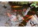 Scenic view of a koi pond with a fountain, surrounded by lush plants, creating a serene and inviting outdoor retreat at 5050 Secret Rock St, Las Vegas, NV 89122