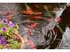 Picturesque koi pond brimming with vibrant fish, accented by colorful flowers, adding charm to this outdoor living space at 5050 Secret Rock St, Las Vegas, NV 89122