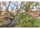 Landscaped pond with mature foliage, rocks, and a bridge offers a tranquil backyard oasis at 5050 Secret Rock St, Las Vegas, NV 89122
