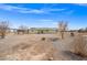 Large gravel backyard with mature trees and ample space for customization and outdoor enjoyment at 1720 S Blagg Rd, Pahrump, NV 89048