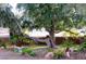 Backyard bench seating beneath a mature shady tree surrounded by desert landscaping at 6540 Tara Ave, Las Vegas, NV 89146