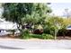 Backyard desert landscaping with a mature shady tree at 6540 Tara Ave, Las Vegas, NV 89146