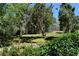 Backyard scene showcasing mature trees and lush landscaping creating private oasis at 1382 N Trout Canyon Rd, Las Vegas, NV 89124