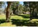 Expansive backyard featuring mature trees, lush grass, and a private, serene setting at 1382 N Trout Canyon Rd, Las Vegas, NV 89124