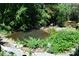 Picturesque pond surrounded by lush greenery, enhancing the natural beauty of the property at 1382 N Trout Canyon Rd, Las Vegas, NV 89124