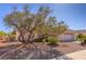 Single-story home with desert landscaping and a mature shade tree in the front yard at 2456 Desert Sands Dr, Las Vegas, NV 89134