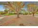 A serene yard with beautiful, mature trees, providing ample shade and visual appeal at 3261 Ennis Ct, Las Vegas, NV 89121