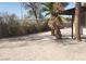 Backyard area offering mature trees and open space perfect for outdoor enjoyment at 3711 Southern Light Dr, Las Vegas, NV 89115