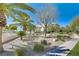 Desert-landscaped front yard with mature palm trees, shrubs, and a sidewalk leading to a beige-colored home at 165 Inveraray Ct, Henderson, NV 89074