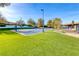Outdoor basketball court with turf and landscaping at 4 Annadale Ct, Henderson, NV 89052