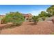 Backyard with trees and other well-maintained landscaping at 6131 Cozy Creek St, North Las Vegas, NV 89031
