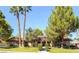 Charming single story home with lush landscaping, tall trees, and manicured lawn at 7664 Angel Crest Cir, Las Vegas, NV 89117
