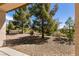 Backyard area with mature trees and serene landscaping from covered patio at 7824 Pine Warbler Way, North Las Vegas, NV 89084