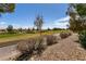 Scenic backyard view overlooking the manicured landscaping of the golf course at 7824 Pine Warbler Way, North Las Vegas, NV 89084