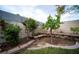 A charming backyard garden with flower trees, roses, and stone edged planting areas at 8980 Tumbling Pebble Way, Las Vegas, NV 89123
