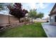 A well-maintained backyard featuring a grassy area, retaining wall, and various trees at 8980 Tumbling Pebble Way, Las Vegas, NV 89123