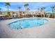 Community pool featuring a pool lift and a variety of palm trees at 12108 Harvest Sky Way # 1, Las Vegas, NV 89183