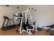 Bright and airy exercise room showcasing various fitness machines and equipment for a complete workout at 1947 Cutlass Dr # 0, Henderson, NV 89014