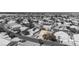 Monochrome aerial showcasing a home with a bright roof, nestled among similar residences with solar panels in a quiet neighborhood at 6032 Port Of Dreams Dr, Las Vegas, NV 89130