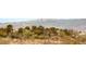 Mountain View. Houses can be seen amongst a field of trees at 1303 Panini Dr, Henderson, NV 89052