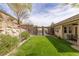 Spacious backyard featuring a large lawn, mature trees, and a covered patio for relaxing and entertaining at 48 Panorama Crest Ave, Las Vegas, NV 89135