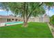 Green backyard with pool and shed, perfect for outdoor activities and storage at 5239 Somerset Dr, Las Vegas, NV 89120