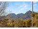 Scenic mountain view from home's location; blue sky peeks through trees at 541 Green Sage Way, Las Vegas, NV 89138