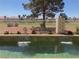 Beautiful pool with a fountain feature and well-manicured landscaping at 2445 Ping Dr, Henderson, NV 89074