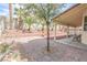 Secluded backyard featuring mature palm trees, covered patio and brick accents at 6630 Cave Rock Ave, Las Vegas, NV 89110