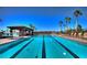 Community pool featuring lap lanes, sun loungers, and palm trees at 1273 Olivia Parkway Pkwy, Henderson, NV 89011