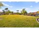 Expansive community green space surrounded by manicured landscaping and palm trees at 262 Cielito Lindo St, Henderson, NV 89012