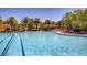 Large pool with palm trees, lounge chairs, and clear blue water for relaxation and recreation at 4 Dry Brook Trl, Henderson, NV 89052