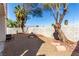 Spacious gravel backyard with mature trees, offering a tranquil outdoor space with a block wall at 7628 Picnic St, Las Vegas, NV 89131