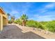 Unfinished backyard featuring palm trees and beautiful views of the Nevada landscape at 8 Rue Du Ville Way, Henderson, NV 89011